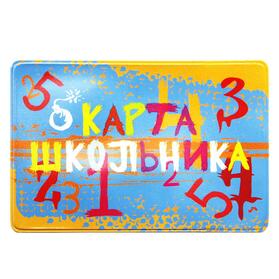 Чехол для карт Школьник, 65x96мм, ПВХ. 2