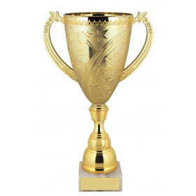 Медаль тематическая для проведения Кубка города Саратова